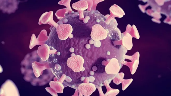 冠状病毒3D图像