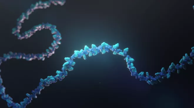 RNA图像