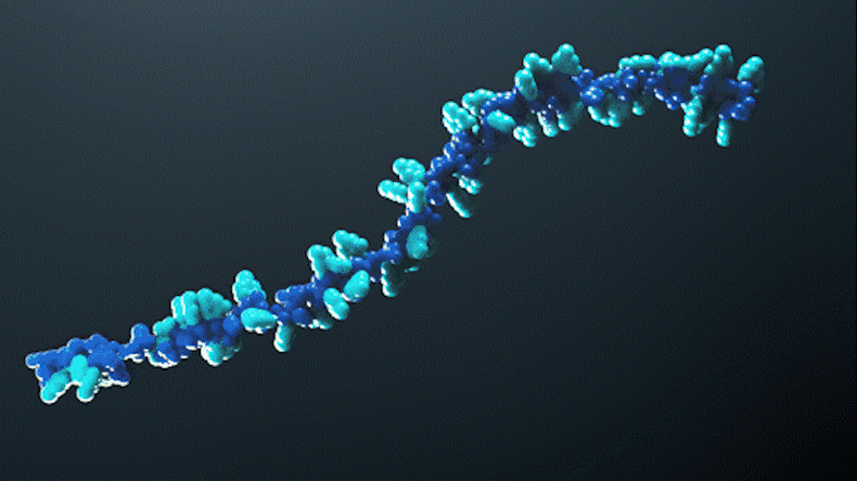 RNA的动画图像