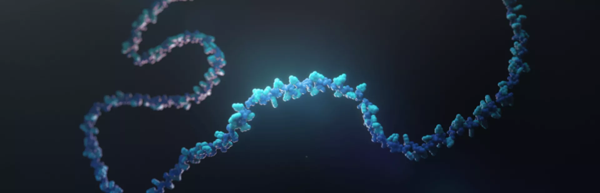 RNA图像