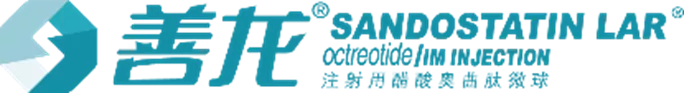 善龙 善龙